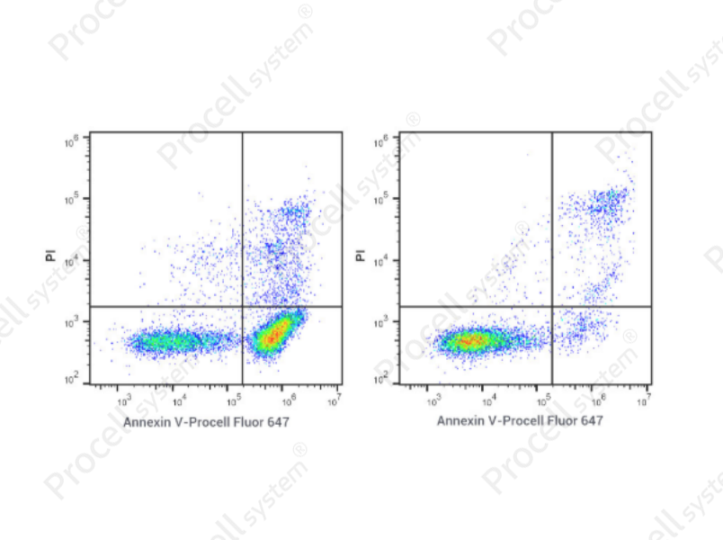 Annexin V-Procell Fluor 647/PI Apoptosis Kit