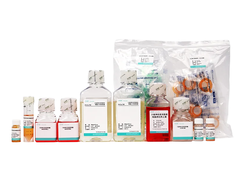 https://789.bio/ec/pLZiW1