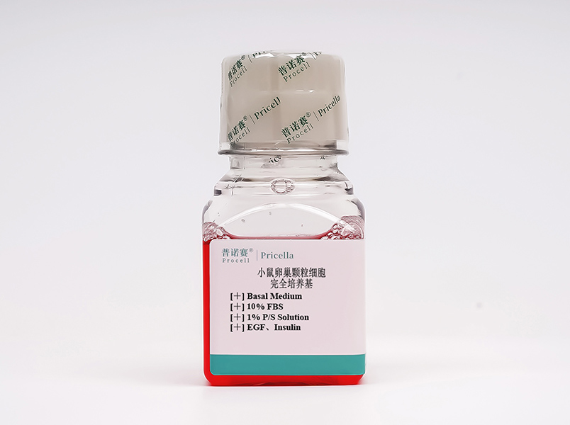 https://789.bio/ec/pLlSVS