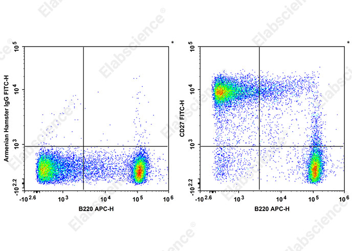 FITC Anti-Mouse CD27 Antibody[LG.3A10]-1