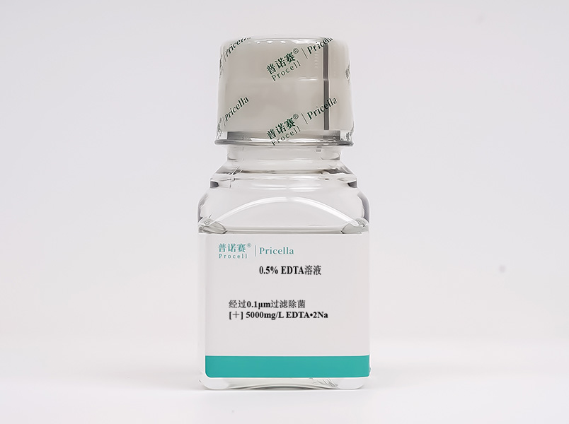 https://789.bio/ec/pPZHhL