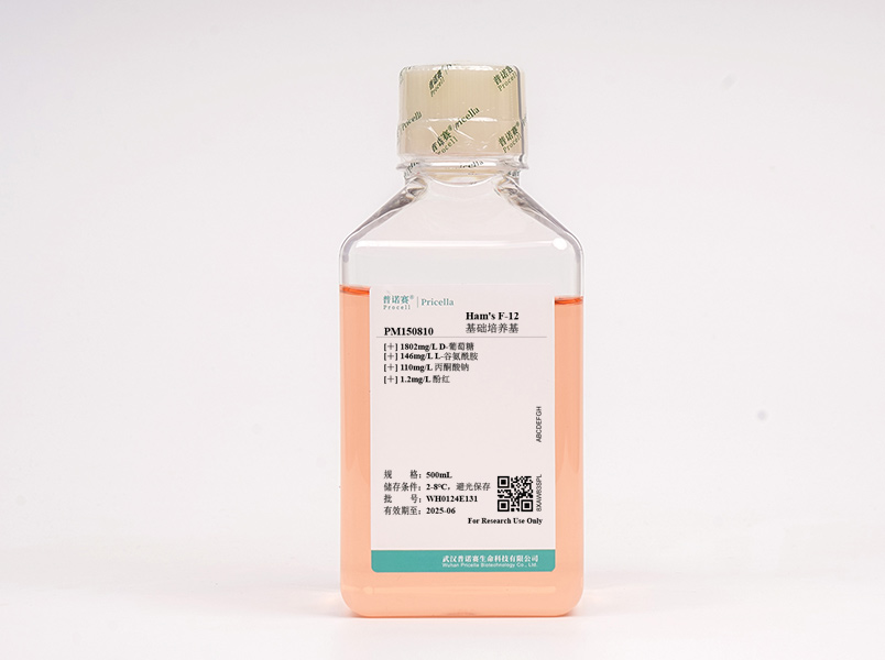 https://789.bio/ec/pPZmWD