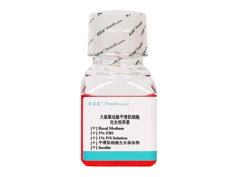 https://789.bio/ec/pQG7ilqX