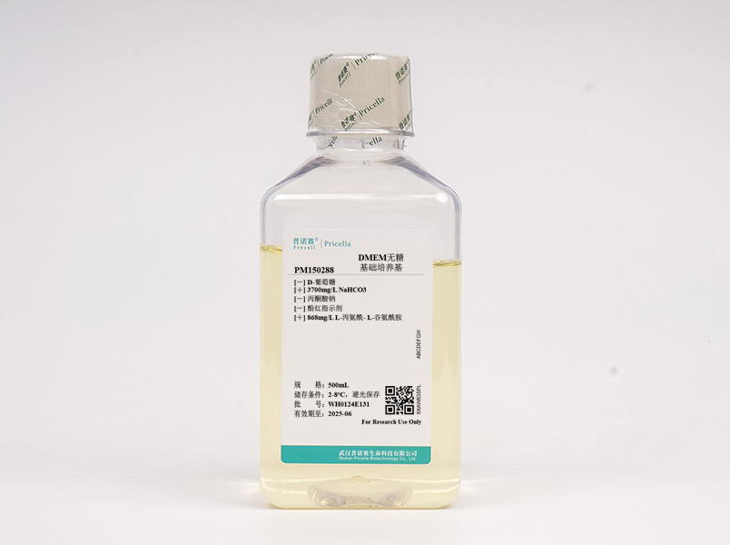https://789.bio/ec/pS804R