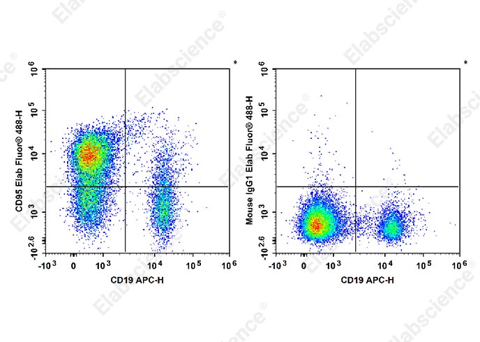 Elab Fluor® 488 Anti-Human CD95/Fas Antibody[DX2]-1