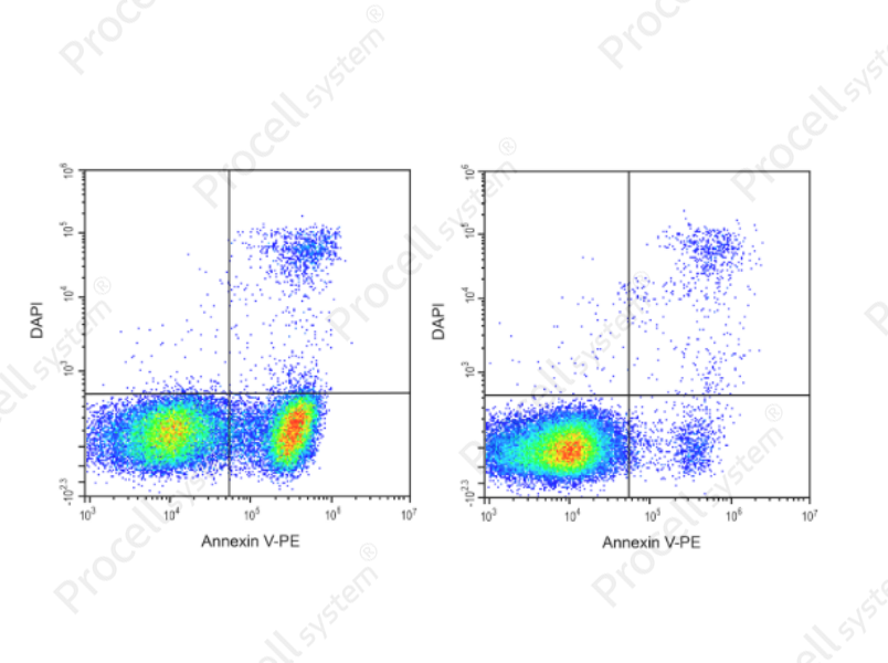 Annexin V-PE/DAPI Apoptosis KitAnnexin V-PE/DAPI Apoptosis Kit - 1