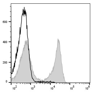 FITC Anti-Mouse TCRβ Antibody[H57-597]-1