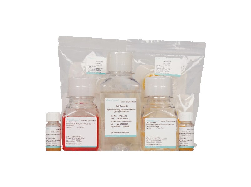 Mouse Cardiac Fibroblast Isolation and Culture Kit