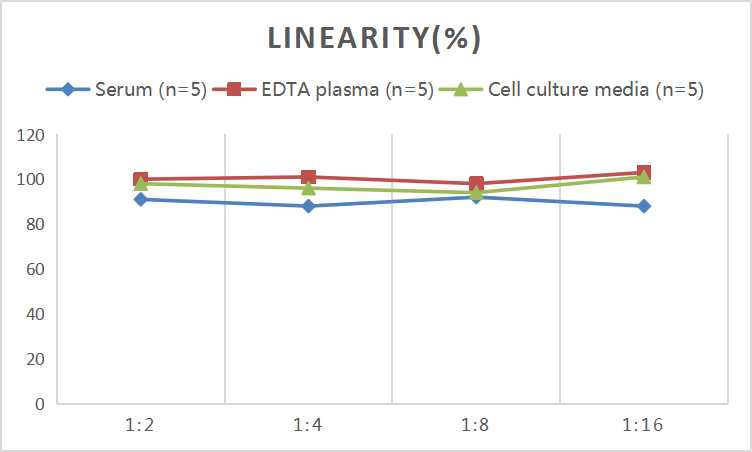 Mini Sample Rat MIP-1α (Macrophage Inflammatory Protein 1 Alpha) ELISA Kit - small - 2