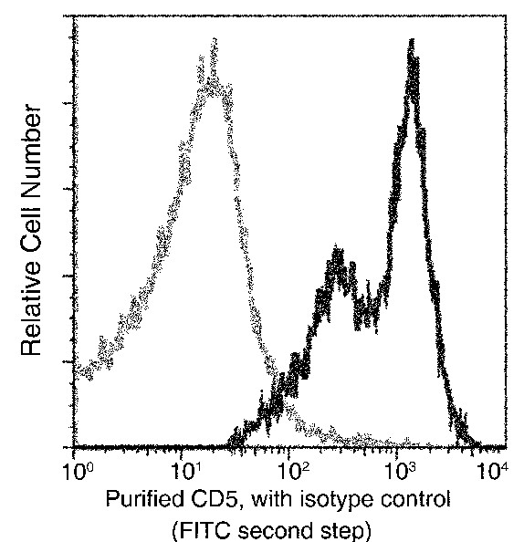 CD5/Cluster of Differentiation 5 Monoclonal Antibody-searchlist-1