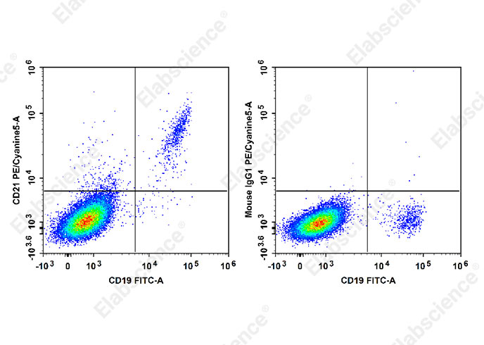 Purified Anti-Human CD20 Antibody[BCA/B20]-产品推荐-1