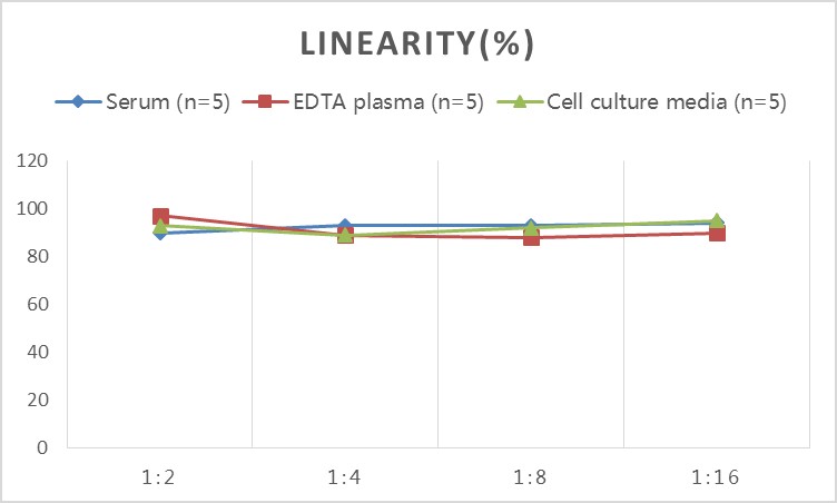 Human SDF-4(Stromal Cell Derived Factor 4) ELISA Kit - 2