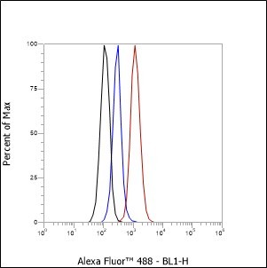 Recombinant Cleaved PARP1 p85 Monoclonal Antibody - small - 4
