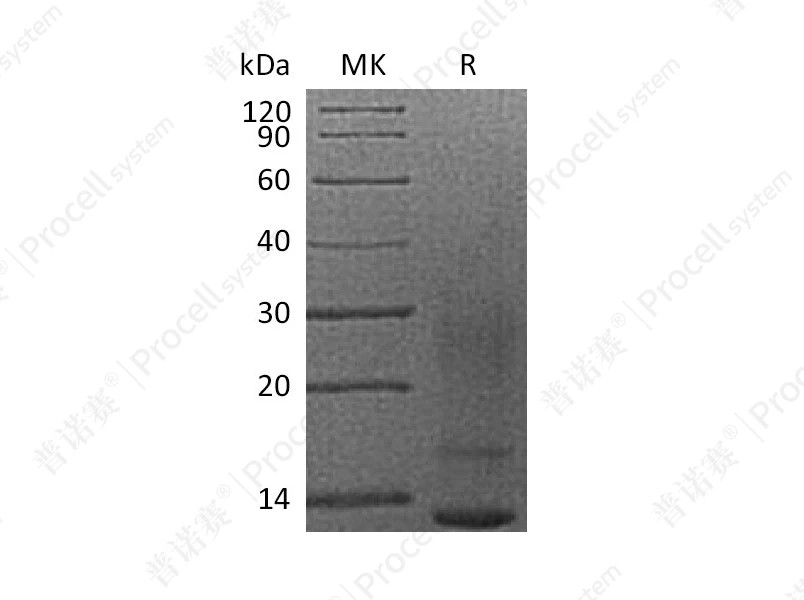 https://789.bio/ec/pmDZ9O