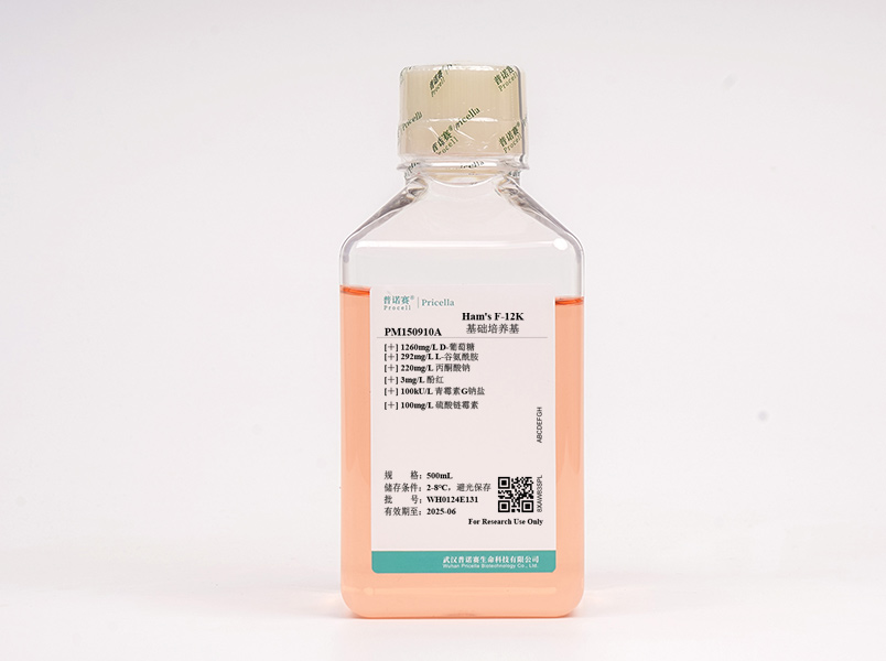 https://789.bio/ec/pmH0V1