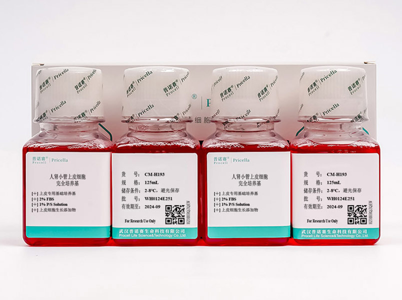 https://789.bio/ec/pmPhSC