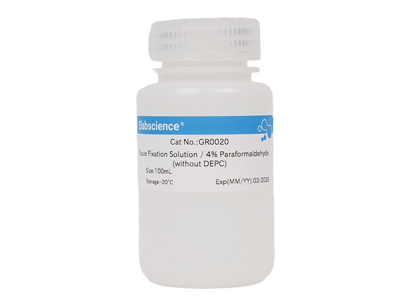 Tissue Fixation Solution / 4% Paraformaldehyde (without DEPC)