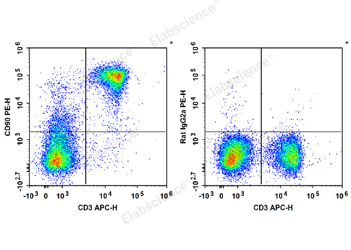 PE Anti-Mouse CD90 Antibody[M5/49.4.1]-1