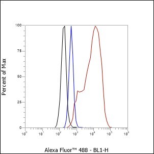 Recombinant ICAM-2 Monoclonal Antibody - small - 4