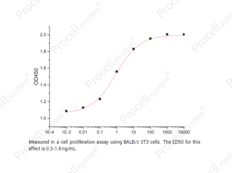 FGF-2/bFGF/FGF-b, Mouse, RecombinantFGF-2/bFGF/FGF-b, Mouse, Recombinant - 2