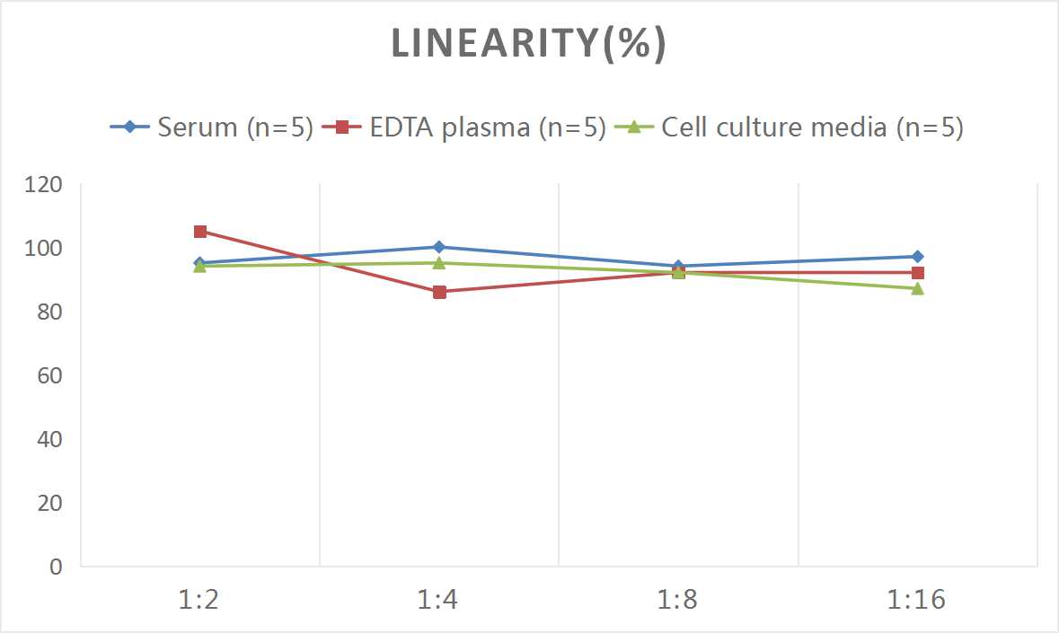 Human HO1(Heme Oxygenase 1) ELISA Kit-1