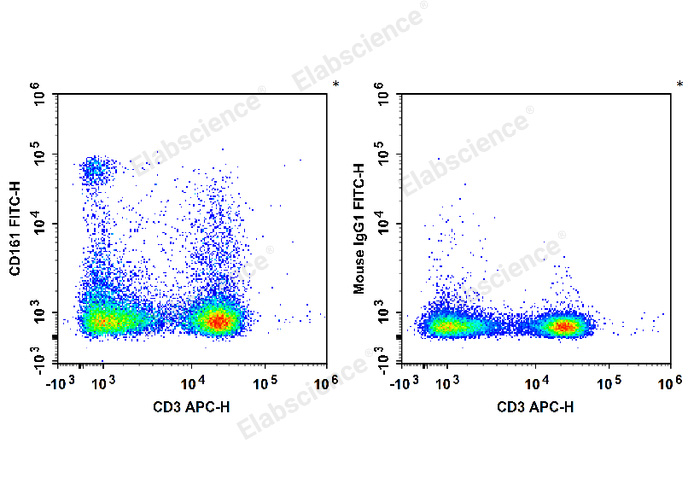 FITC Anti-Rat CD161 Antibody[3.2.3]-1