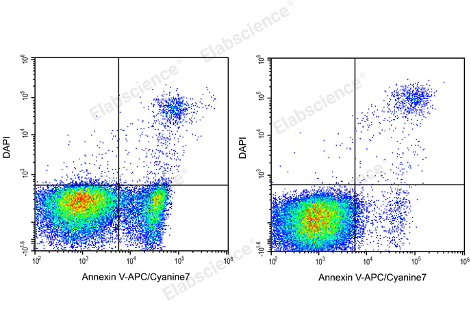 Annexin V-APC/Cyanine7/DAPI Apoptosis Kit-1