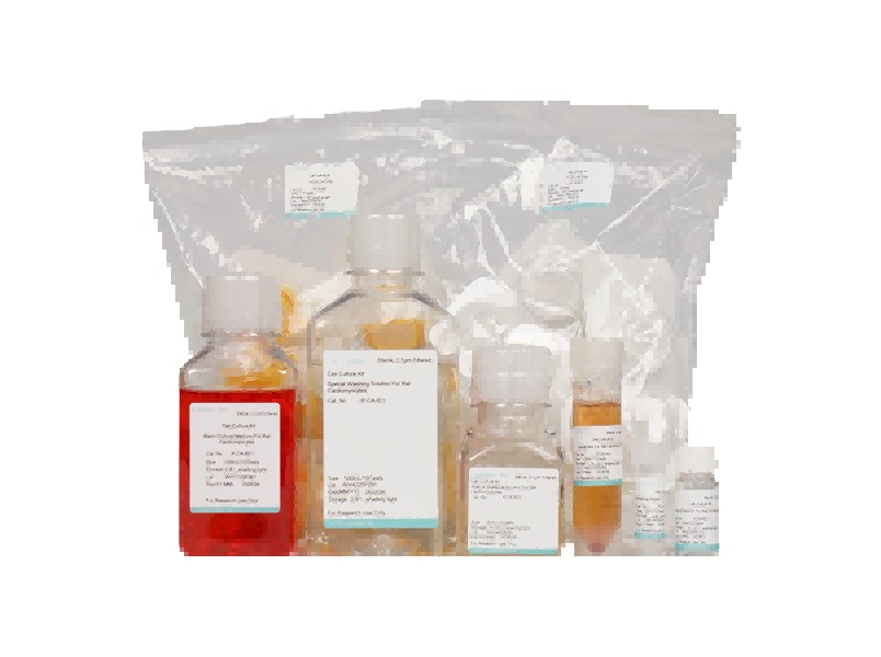 Rat Cardiomyocyte Isolation and Culture KitRat Cardiomyocyte Isolation and Culture Kit - 2