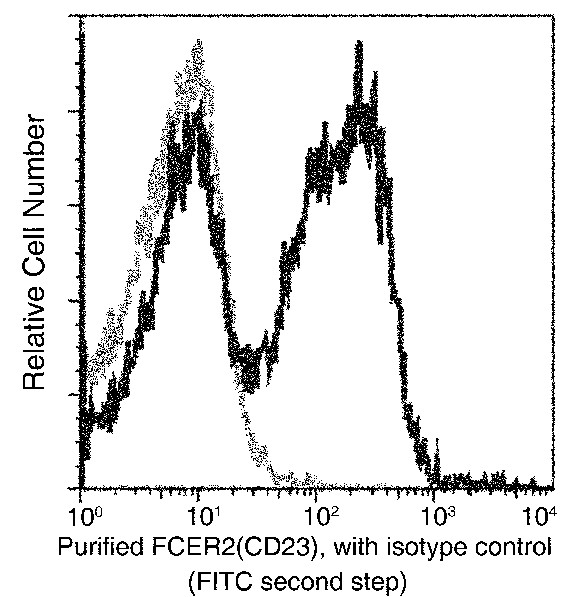 Recombinant CD23/FCER2 Monoclonal Antibody - small - 2