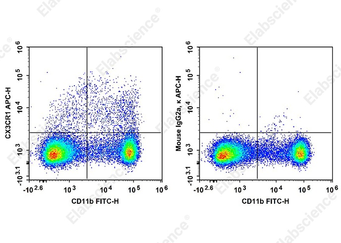 APC Anti-Mouse CX3CR1 Antibody[SA011F11]-searchlist-1