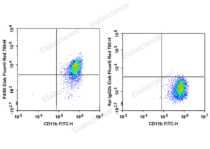 C57BL/6 murine abdominal macrophages elicited by starch broth are stained with FITC Anti-Mouse/Human CD11b Antibody and Elab Fluor® Red 780 Anti-Mouse F4/80 Antibody (Left). Macrophages are stained with FITC Anti-Mouse/Human CD11b Antibody and Elab Fluor® Red 780 Rat IgG2b, κ Isotype Control (Right).