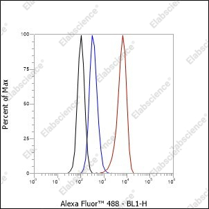 Recombinant SOX1 Monoclonal Antibody - 5