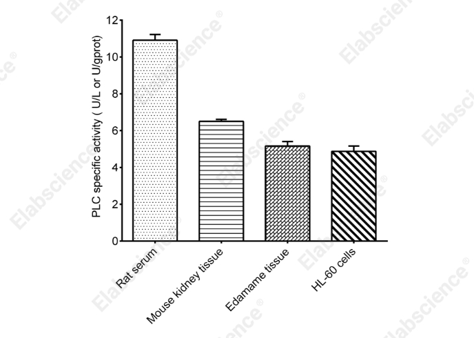 Phospholipase C (PLC) Activity Colorimetric Assay Kit - 2