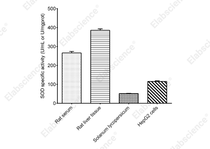 Total Superoxide Dismutase (T-SOD) Activity Assay Kit (WST-1 Method) - 2