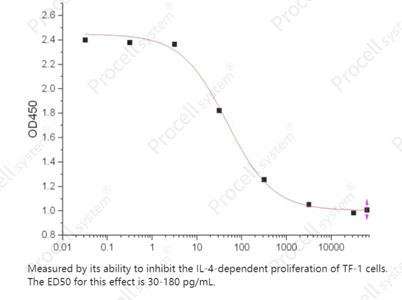 TGFβ2/TGFB2, Human, RecombinantTGFβ2/TGFB2, Human, Recombinant - 2