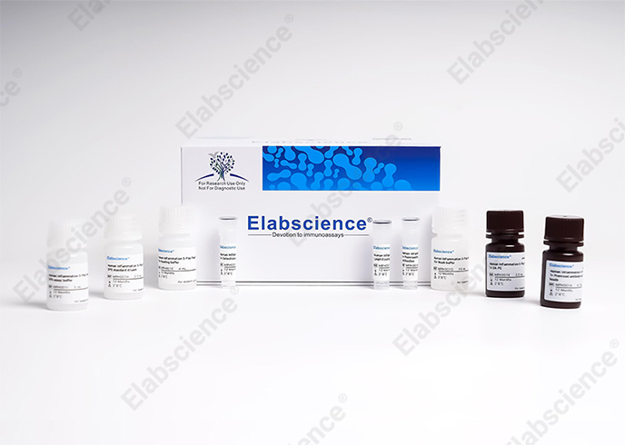EcoPlex™ Human Inflammation 10-Plex Panel Kit