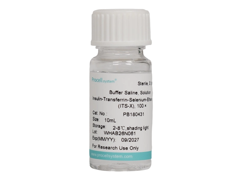 Insulin-Transferrin-Selenium-Ethanolamine (ITS-X), 100 &times;