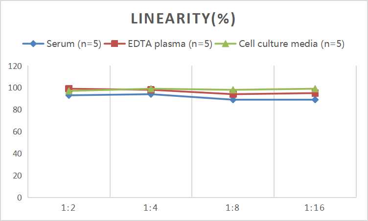 Mini Sample Rat ACE2 (Angiotensin Ⅰ Converting Enzyme 2) ELISA Kit - small - 2