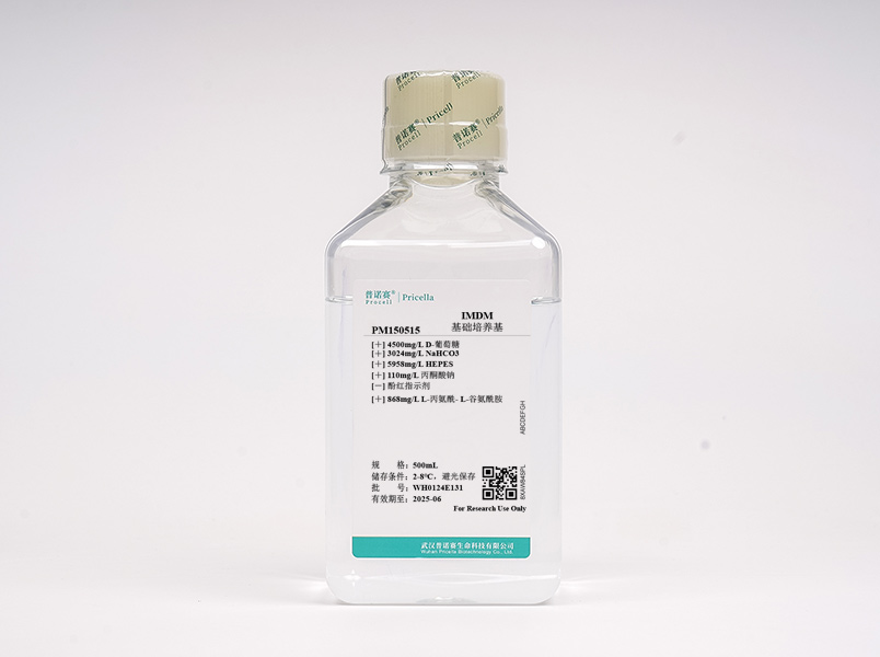 https://789.bio/ec/qH4h5R