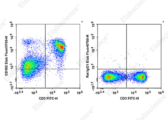 Elab Fluor® 700 Anti-Mouse CD162 Antibody[4RA10]-1