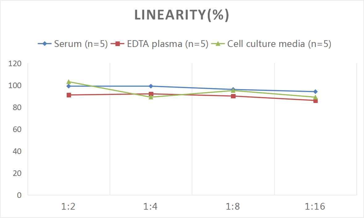 QuicKey Pro Rat E2(Estradiol) ELISA Kit-产品推荐-10