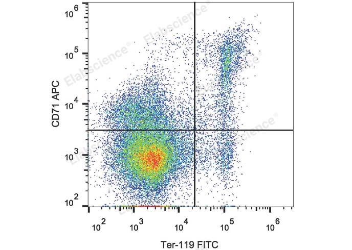 C57BL/6 mouse bone marrow cells were stained with FITC Anti-Mouse TER-119 Antibody and APC Anti-Mouse CD71 Antibody.