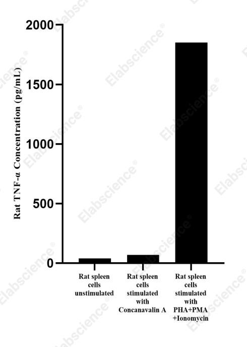 Uncoated Rat TNF-α(Tumor Necrosis Factor Alpha) ELISA Kit - 2