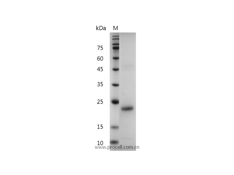 https://789.bio/ec/qStSdS
