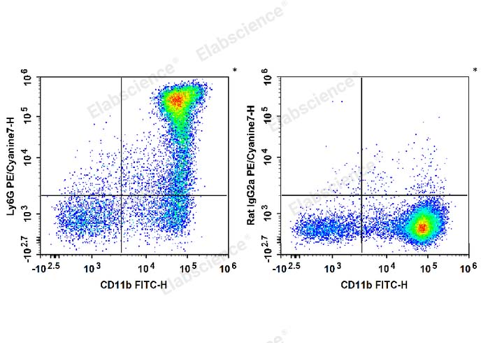 C57BL/6 murine bone marrow cells are stained with FITC Anti-Mouse/Human CD11b Antibody and PE/Cyanine7 Anti-Mouse Ly6G Antibody (Left). Bone marrow cells are stained with FITC Anti-Mouse/Human CD11b Antibody and PE/Cyanine7 Rat IgG2a, κ Isotype Control (Right).