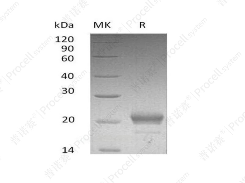 https://789.bio/ec/qW9Kx5