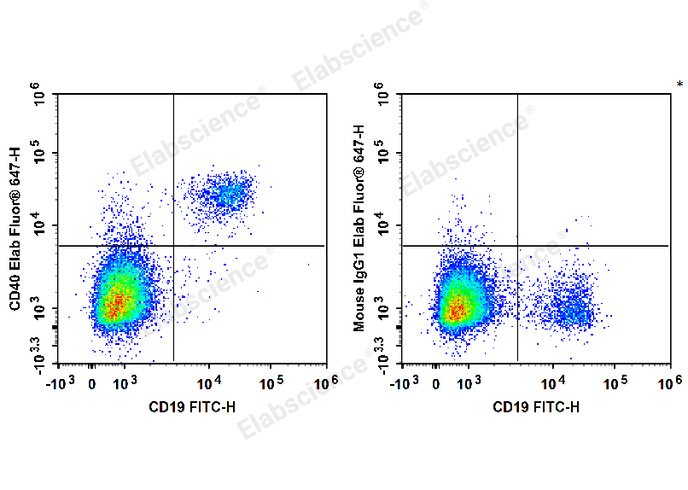 Biotin Anti-Human CD40 Antibody[G28.5]-1