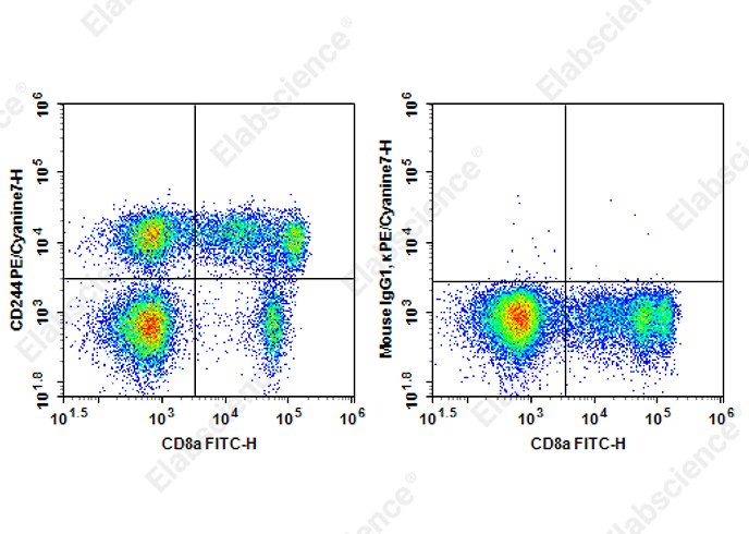 PE/Cyanine 7 Anti-Human CD244 Antibody[C1.7] - 1