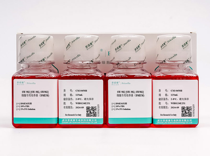 https://789.bio/ec/qa5O0O
