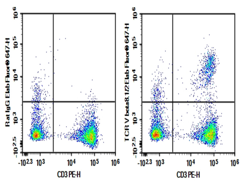 Purified Anti-Mouse TCR V beta8.1/2 Antibody[KJ16-133.18]-1